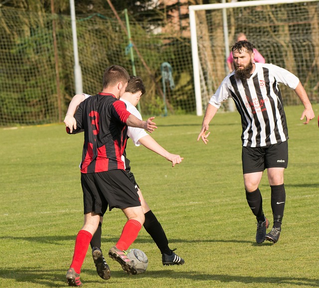 这支球队经 这支球队经