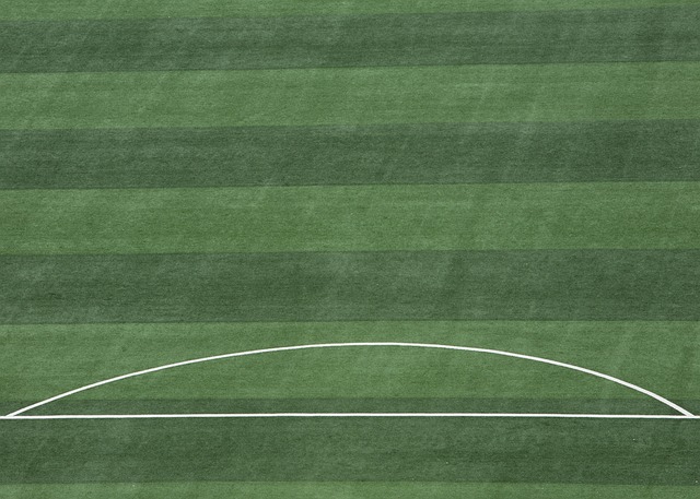 并非仅靠个 并非仅靠个