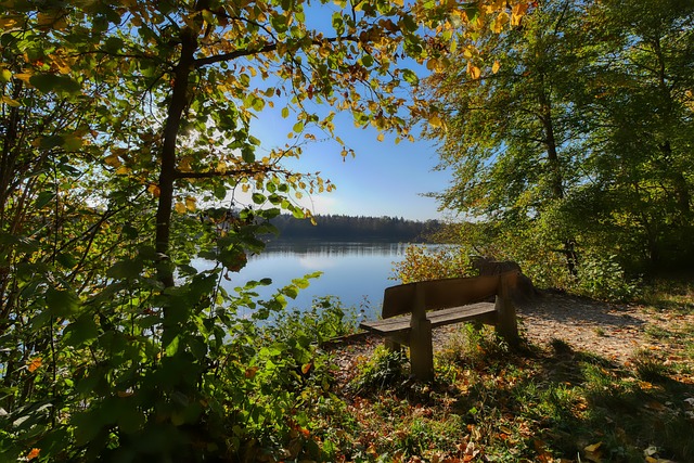 畅的传导和 畅的传导和