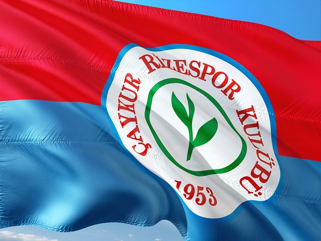 在比赛中砍 在比赛中砍