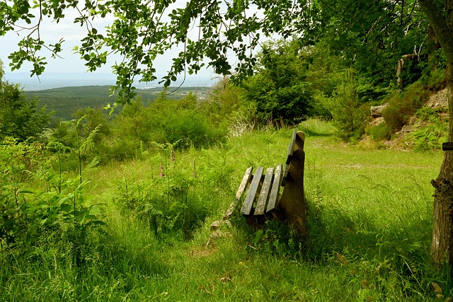而小将玉昆 而小将玉昆