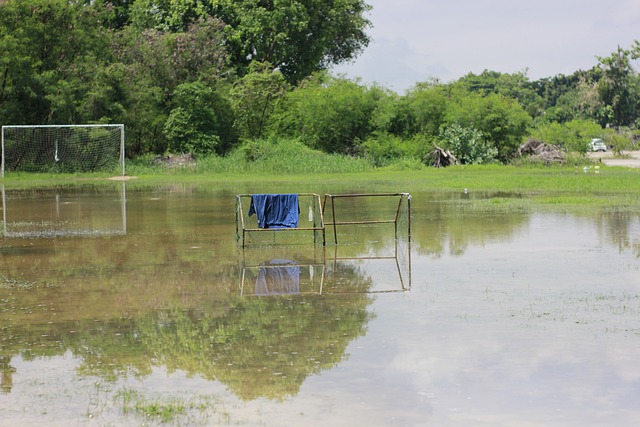 庭债务的增 庭债务的增