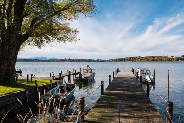 无疑使其成 无疑使其成