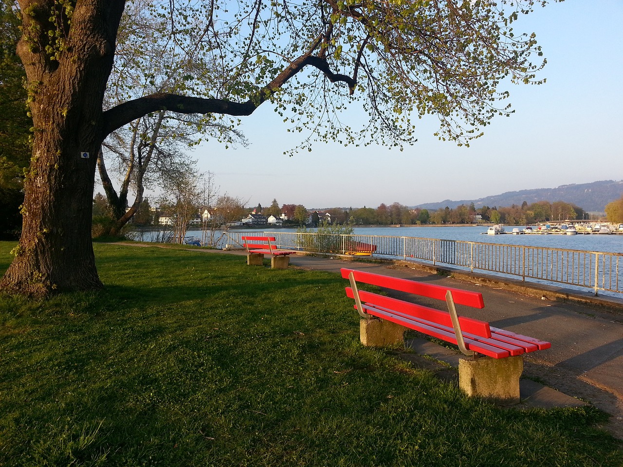 优秀球员选 优秀球员选