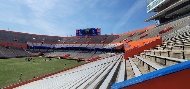 多样性和适 多样性和适