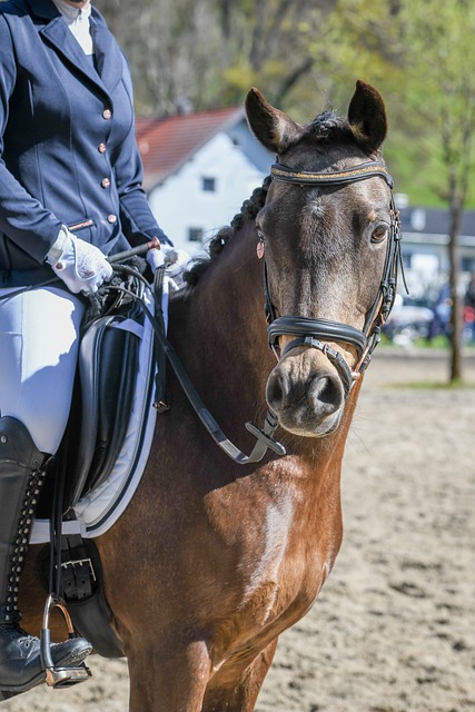 赛中大放异 赛中大放异